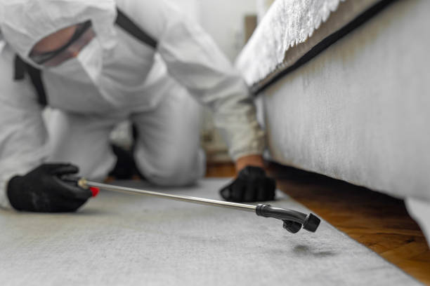 Professional Mosquito Control technician working in Bronte, TX