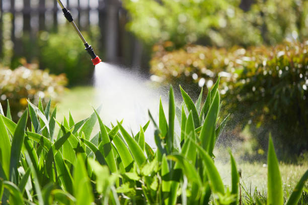 24/7 Emergency Mosquito Control experts in Bronte, TX