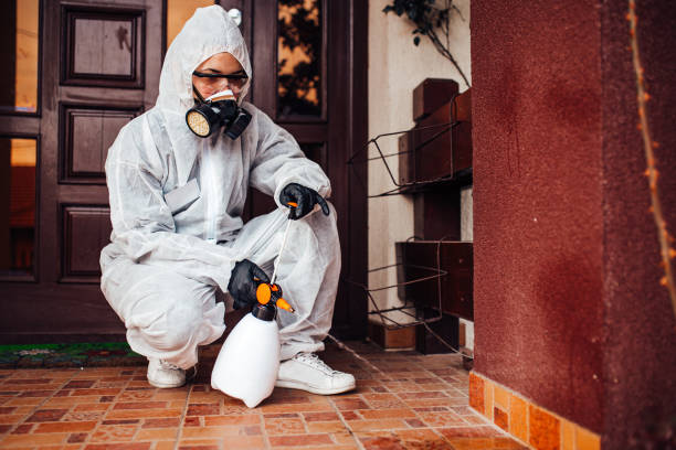 Reliable Mosquito Control contractor in Bronte, TX by Nex Pest Control